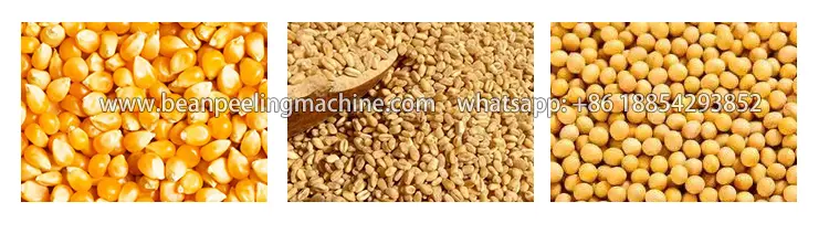 Corn/maize/grain cleaning machine